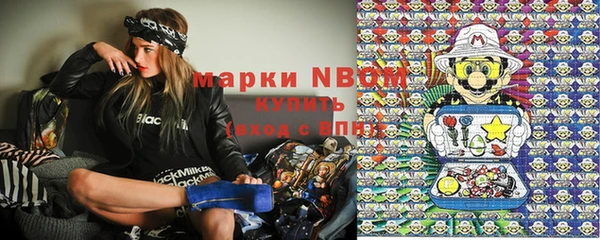 гидра Богданович