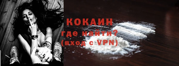 гидра Богданович