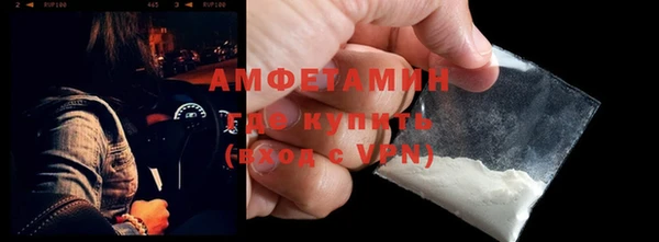 гидра Богданович