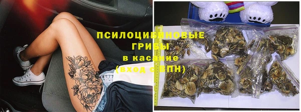 гидра Богданович