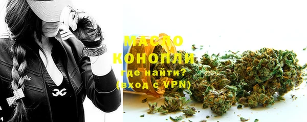 гидра Богданович