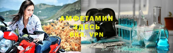 гидра Богданович