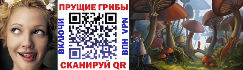 Псилоцибиновые грибы Magic Shrooms Щучье