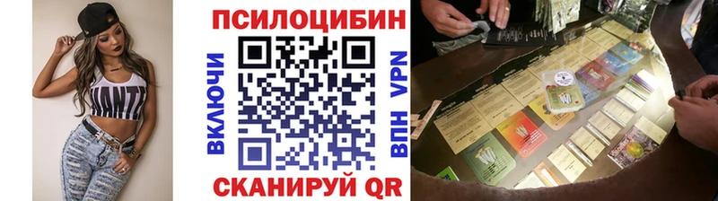 Галлюциногенные грибы Psilocybe Щучье